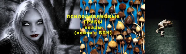 2c-b Верхний Тагил