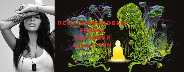 2c-b Верхний Тагил
