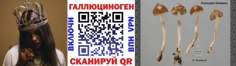Псилоцибиновые грибы MAGIC MUSHROOMS  где найти наркотики  Верхняя Салда 